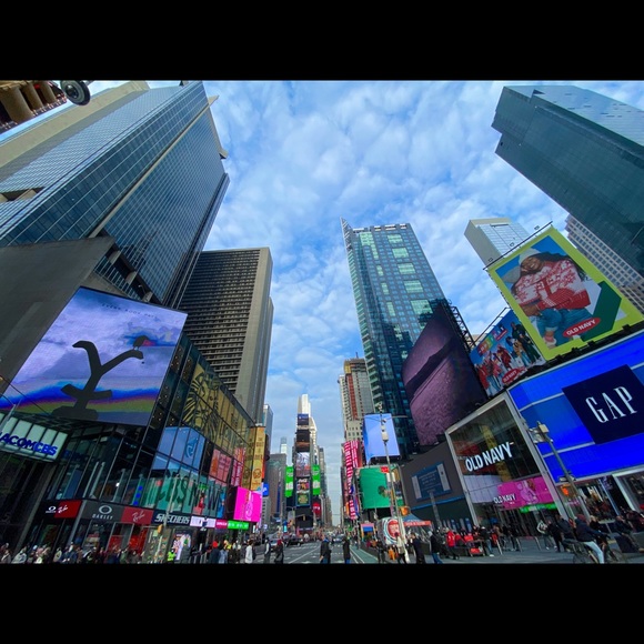 Meet your Posher, Savannah - Picture 1 of 1